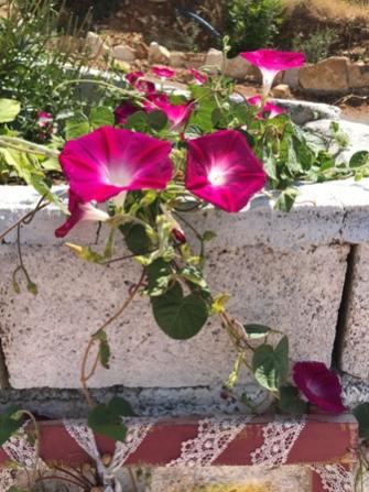 Name:  022.jpg
Views: 265
Size:  36.0 KB