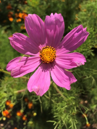Name:  092.JPG
Views: 259
Size:  67.6 KB