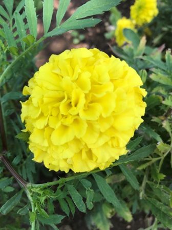 Name:  020.JPG
Views: 286
Size:  66.3 KB