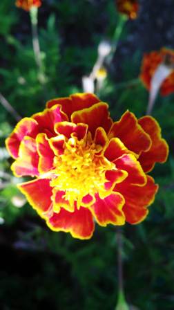 Name:  086.JPG
Views: 282
Size:  23.2 KB