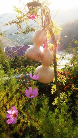 Name:  109.JPG
Views: 253
Size:  33.4 KB