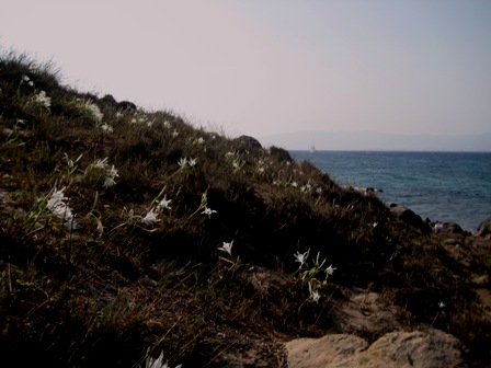 Name:  IMG_2669.JPG
Views: 816
Size:  54.9 KB