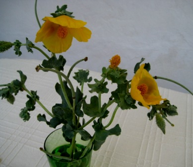 Name:  IMG_2170.JPG
Views: 758
Size:  47.7 KB