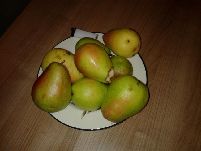 Name:  20180809_210628-min.jpg
Views: 1356
Size:  31.8 KB