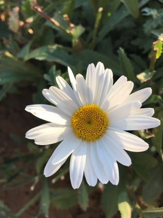 Name:  206.JPG
Views: 436
Size:  54.1 KB