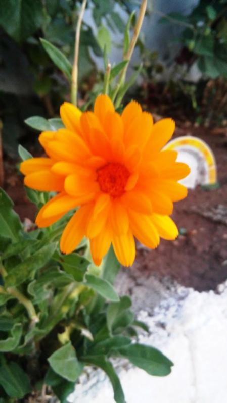Name:  133.jpg
Views: 280
Size:  39.1 KB
