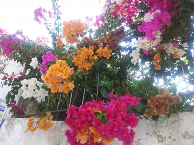 Name:  20180916_161405-min.jpg
Views: 479
Size:  70.4 KB