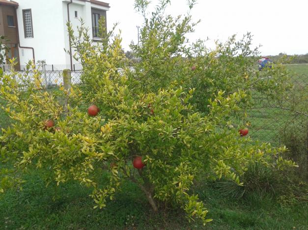 Name:  20181019_153602-min.jpg
Views: 1000
Size:  70.4 KB