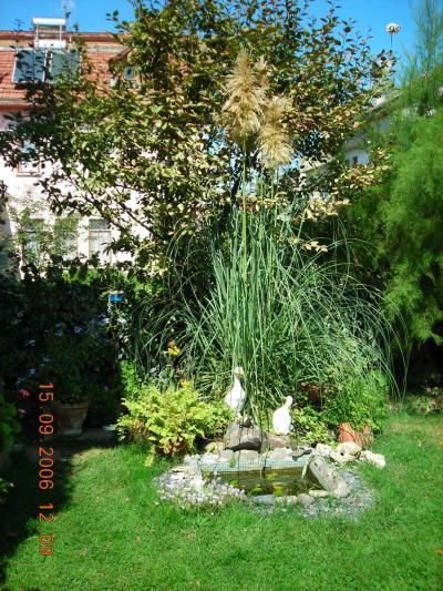 Name:  DSCN0201.jpg
Views: 7439
Size:  73.8 KB