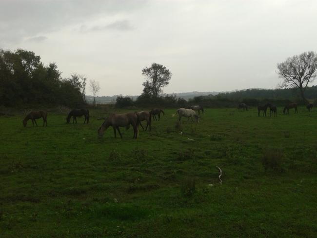 Name:  20181021_152801-min.jpg
Views: 934
Size:  29.7 KB