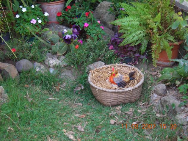 Name:  DSCN1121.jpg
Views: 6936
Size:  70.4 KB