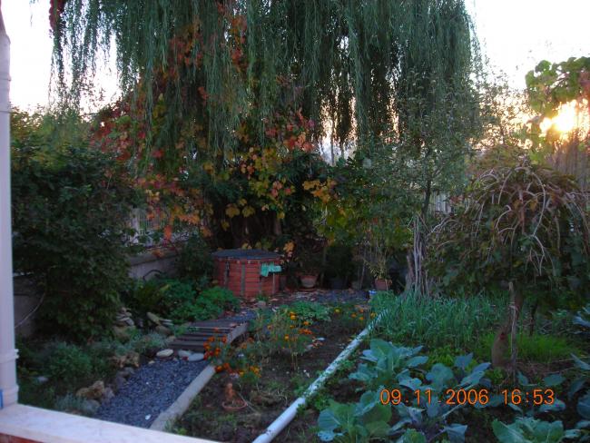 Name:  DSCN0491.jpg
Views: 6646
Size:  68.6 KB