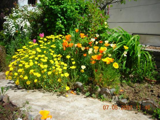 Name:  DSCN0932.jpg
Views: 6602
Size:  71.8 KB