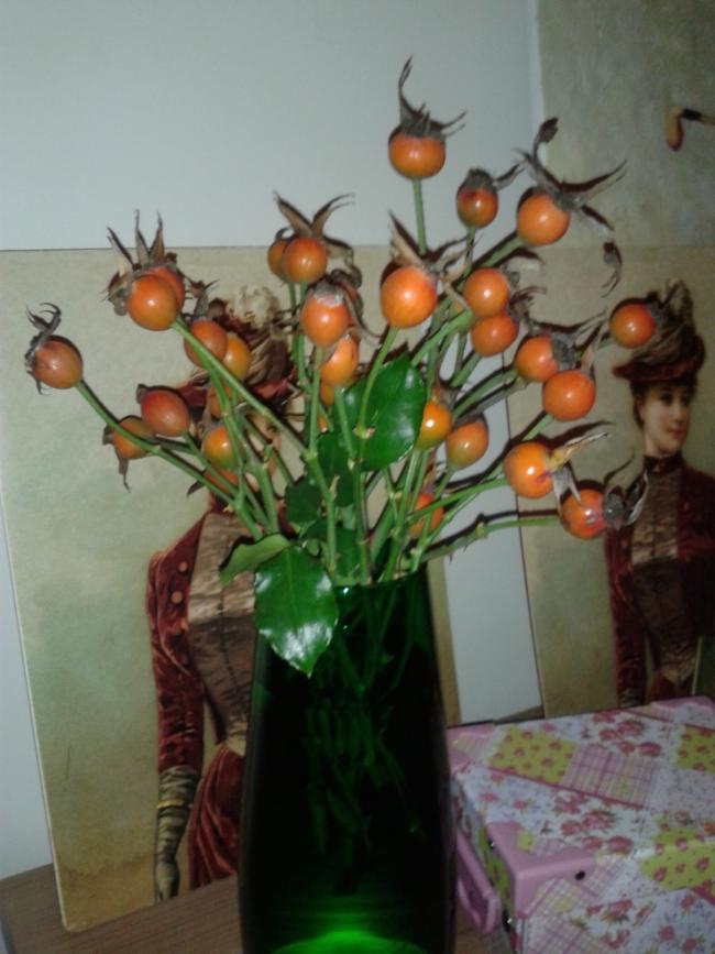 Name:  20181211_162017-min.jpg
Views: 696
Size:  58.9 KB