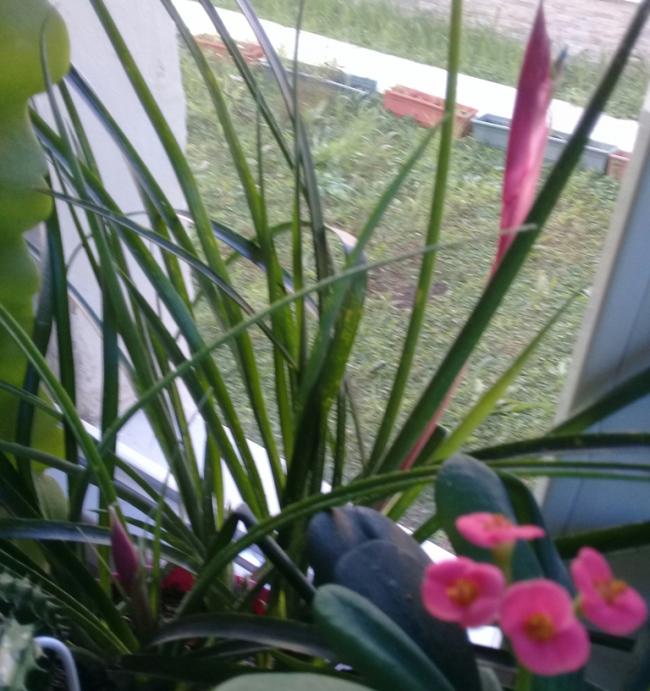 Name:  20190107_155522.jpg
Views: 493
Size:  65.3 KB