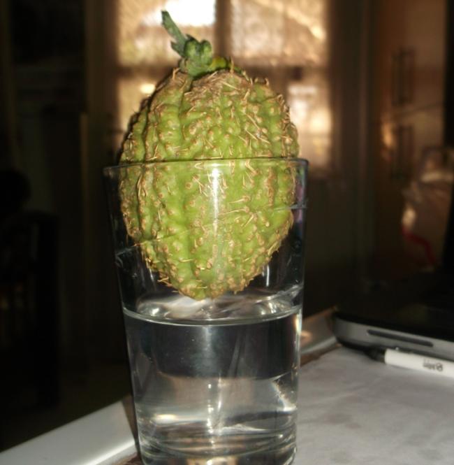 Name:  DSCF1658.jpg
Views: 470
Size:  39.8 KB