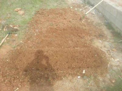 Name:  b3.jpg
Views: 3144
Size:  54.9 KB