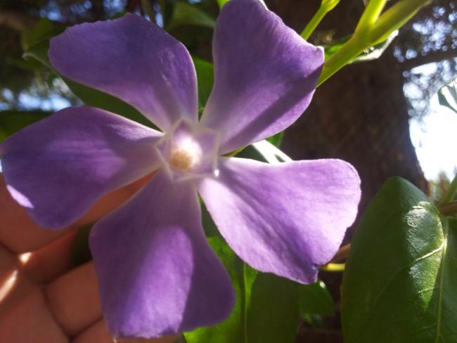 Name:  20190331_111324-min.jpg
Views: 437
Size:  33.9 KB