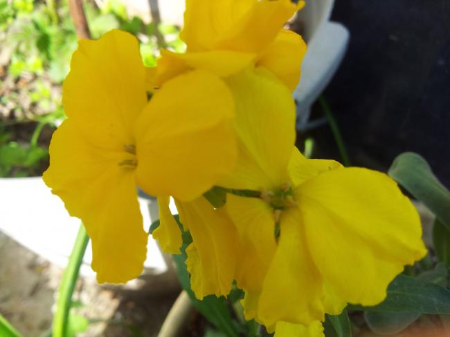 Name:  20190331_111546-min.jpg
Views: 440
Size:  27.1 KB