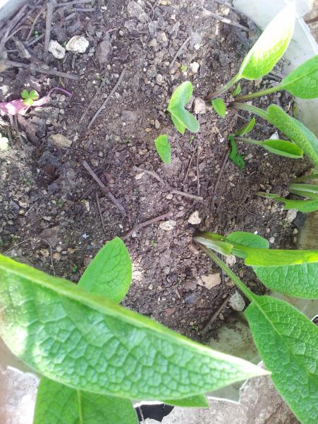 Name:  20190331_111758-min.jpg
Views: 458
Size:  74.2 KB