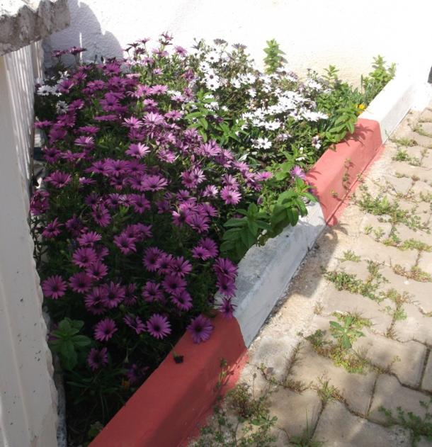Name:  DSCF1737.jpg
Views: 322
Size:  71.5 KB