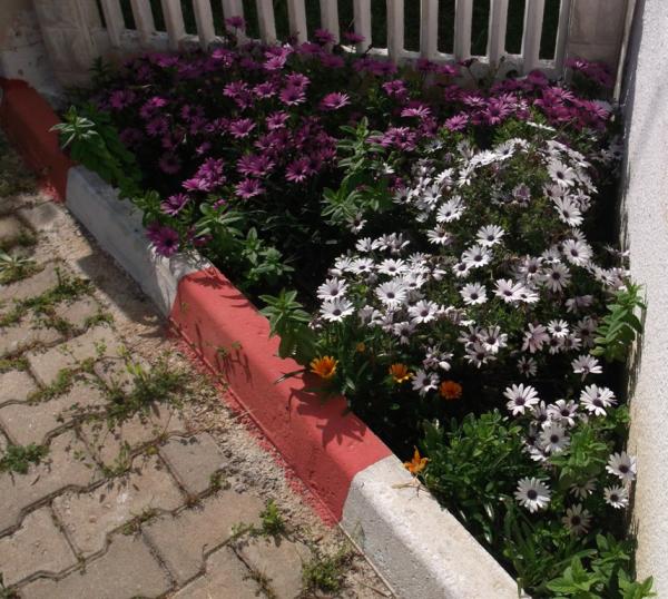 Name:  DSCF1738.jpg
Views: 324
Size:  71.6 KB