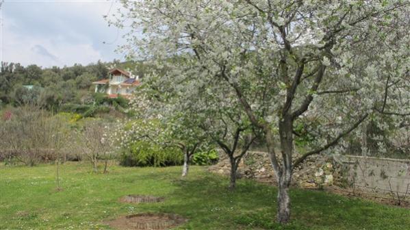 Name:  IMG_3891 (600 x 337).jpg
Views: 586
Size:  46.0 KB