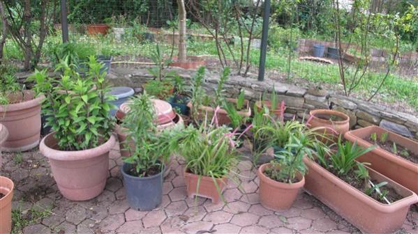 Name:  IMG_3921 (600 x 337).jpg
Views: 594
Size:  50.2 KB