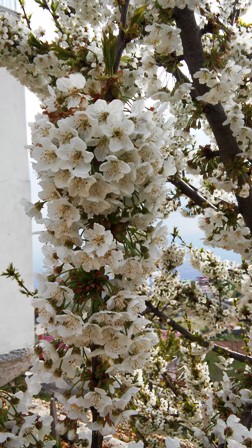 Name:  078.jpg
Views: 755
Size:  65.3 KB