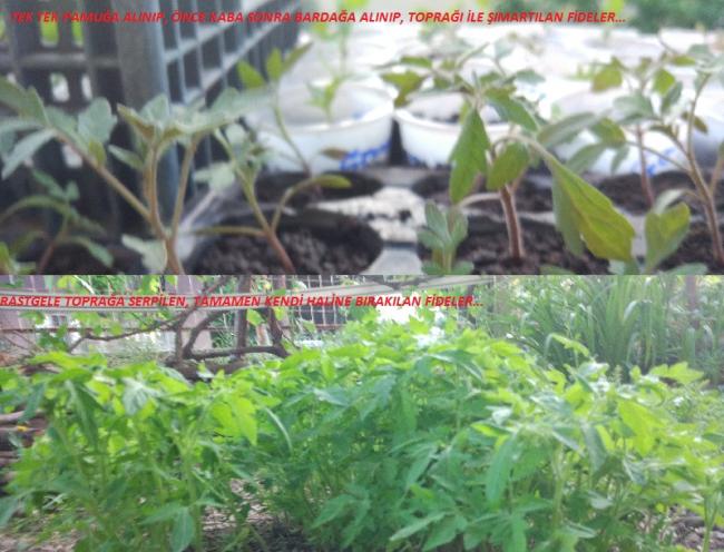 Name:  1.jpg
Views: 620
Size:  56.9 KB
