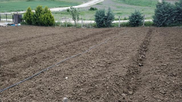 Name:  IMG_20190505_170931 (Copy).jpg
Views: 534
Size:  57.2 KB