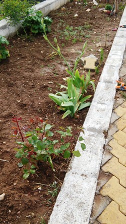 Name:  068.jpg
Views: 567
Size:  63.7 KB