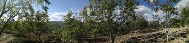 Name:  panaroma.jpg
Views: 1012
Size:  31.1 KB