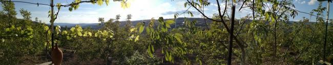 Name:  panaroma-.jpg
Views: 993
Size:  24.0 KB