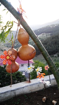 Name:  026.jpg
Views: 504
Size:  45.1 KB