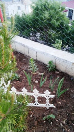 Name:  032.jpg
Views: 517
Size:  57.8 KB