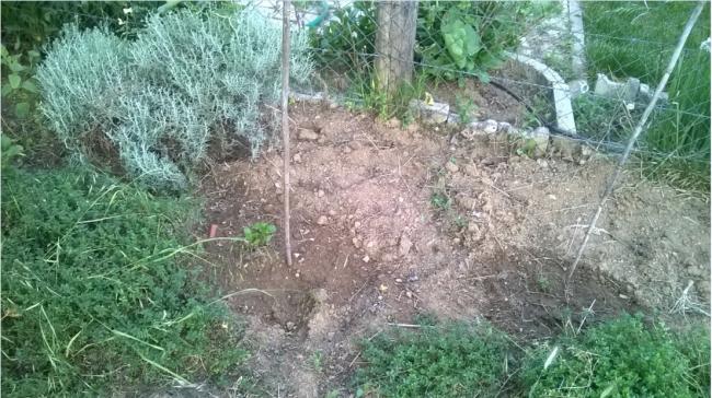Name:  ortanca temizlik 26.05.2019.jpg
Views: 365
Size:  66.8 KB