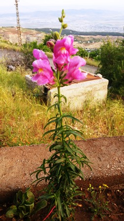 Name:  064.jpg
Views: 460
Size:  58.5 KB