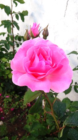 Name:  085.jpg
Views: 449
Size:  41.1 KB