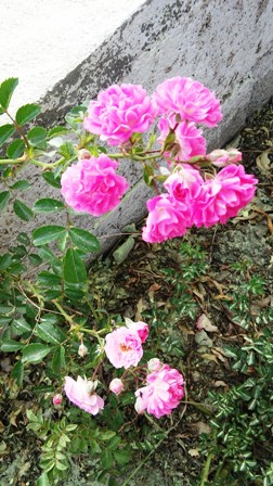 Name:  036.jpg
Views: 355
Size:  67.3 KB