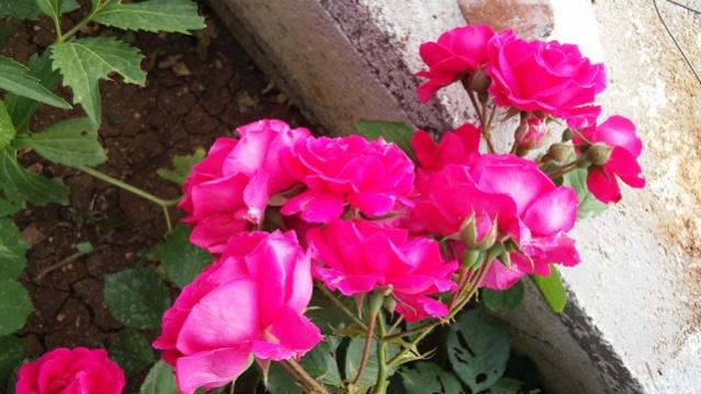 Name:  018.jpg
Views: 366
Size:  43.3 KB
