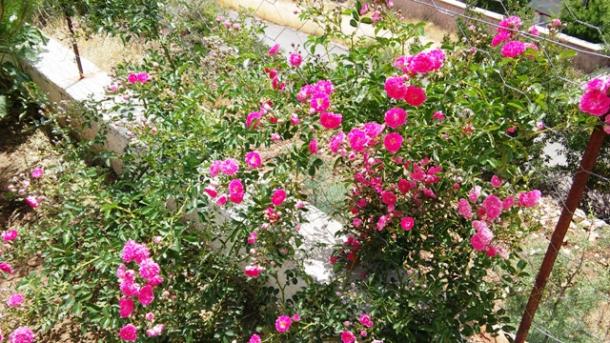 Name:  013.jpg
Views: 334
Size:  71.7 KB