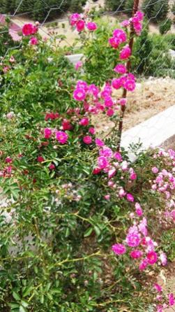 Name:  030.jpg
Views: 312
Size:  37.2 KB