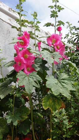 Name:  032.jpg
Views: 323
Size:  58.9 KB