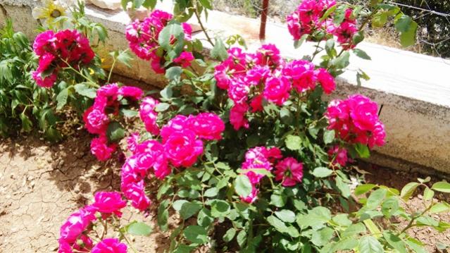 Name:  023.jpg
Views: 330
Size:  64.3 KB