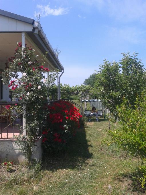 Name:  20190607_133422-min.jpg
Views: 1103
Size:  72.7 KB