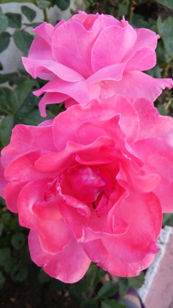 Name:  065.jpg
Views: 281
Size:  37.2 KB
