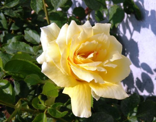 Name:  121.jpg
Views: 218
Size:  39.7 KB