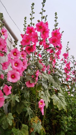 Name:  170.jpg
Views: 234
Size:  57.3 KB