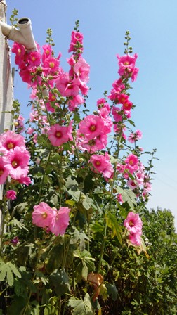 Name:  119.jpg
Views: 171
Size:  58.5 KB